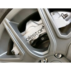 Volvo Polestar Brake Decals